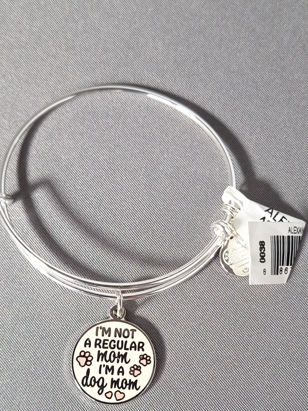 Alex and Ani Style Silver 'I'm Not a Regular Mom I'm a Dog Mom' Charm Bangle
